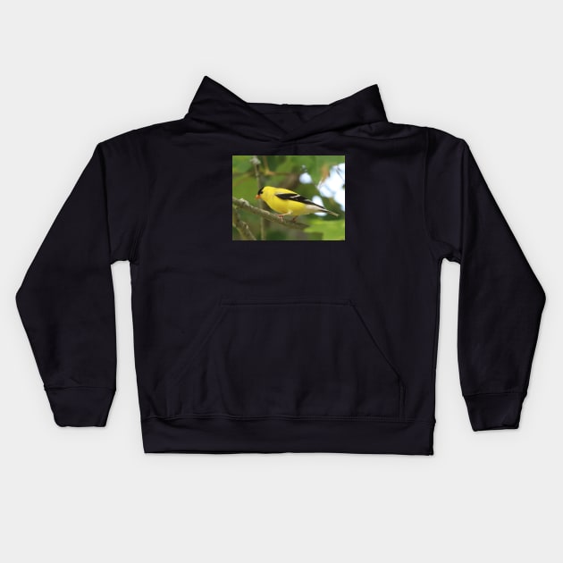 American Goldfinch Brightening Up The Woods Kids Hoodie by Judy Geller